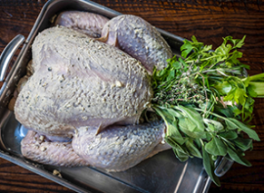 Whole uncooked turkey